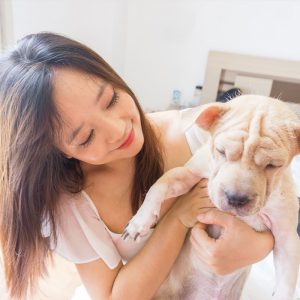 gallery-14